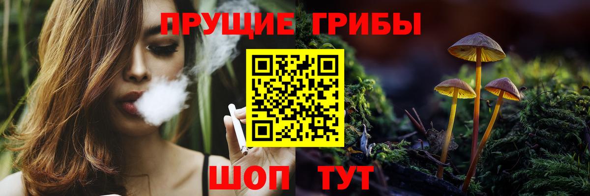 Сертолово  Галлюциногенные грибы Cubensis  Вход с VPN 